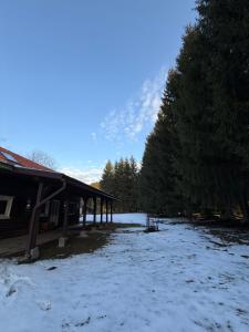 a snow covered yard next to a cabin with trees at Cabana Trofelor in Comandău +3 photos