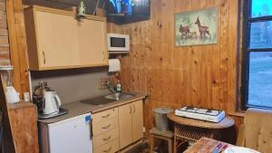 a kitchen with a sink and a counter top at Viešnagė gamtos prieglobstyje in Gūragiai