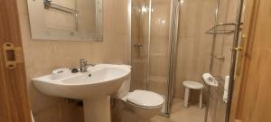 a bathroom with a sink and a toilet and a shower at La Casa de la Huerta in Vinuesa +106 photos