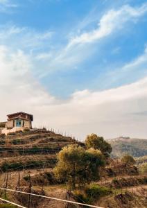 a house on the top of a hill at Ayda Bağları Winery & Vineyards in Seferihisar