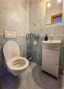 a bathroom with a toilet and a sink at Penzión Villa Agnes in Smolenice +41 photos
