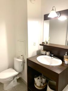 a bathroom with a sink and a toilet and a mirror at Charme et confort in Montévrain