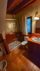 a bathroom with a toilet and a shower and a sink at APARTAMENTOS La Colmena APT - 1 - AT-CC-00248 in Gata