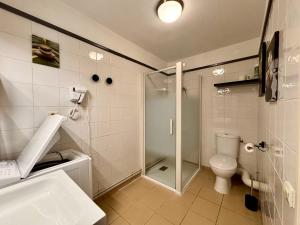 a bathroom with a shower and a toilet and a sink at Charmant logement de plain-pied avec Piscine in Loudenvielle
