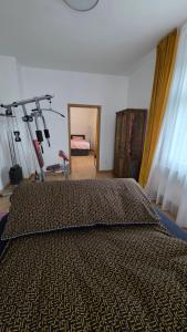 a bedroom with a bed and a exercise bike at Ferienwohnung Annaberg-Buchholz,5 in Annaberg-Buchholz