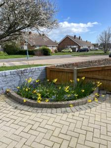 a flower bed with yellow flowers in front of a fence at Selsey Home in Selsey