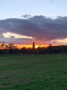 a sunset in a field with a green field at gîte la petite ferme Peyre in Créon-dʼArmagnac