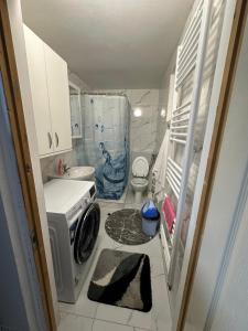 a small bathroom with a washing machine in it at Apartment near Corvin Castle in Hunedoara +16 photos