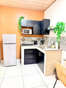 a kitchen with black cabinets and a white refrigerator at Apartamento #10 in Alajuela