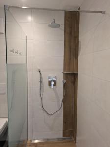 a shower in a bathroom with a glass door at Brunner Alm in Obertaufkirchen +21 photos