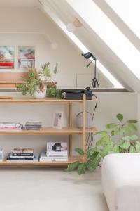 a room with a shelf with plants and a lamp at CODAK suite in Kluisbergen