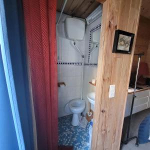 a small bathroom with a toilet and a red curtain at La Lézardière in Saint-Germain-sur-École