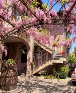 a house with pink flowers on the branches of a tree at Il Cortiletto in Assemini