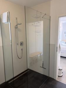 a shower with a glass door in a bathroom at Studio mit Alpenblick und privaten Terrasse in Kleinweil