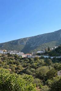 a town on a hill with trees and houses at Sea View House B in Péra Mélana +5 photos