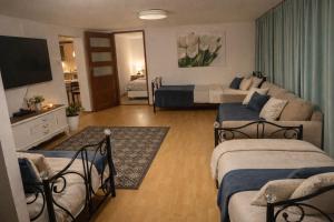 a living room with two beds and a couch at Dąbrowski in Nadarzyn