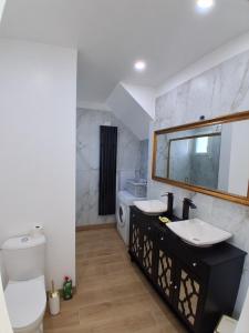 a bathroom with a sink and a toilet and a mirror at rozormant in Rosporden +5 photos