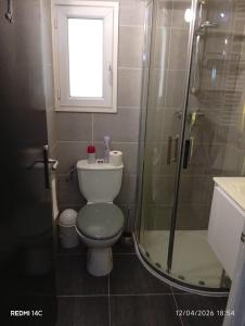 a bathroom with a toilet and a shower and a window at Large Studio in a cozy house in Ormesson-sur-Marne