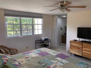 a bedroom with a bed and a flat screen tv at A Private Paradise by the Rainforest in Luquillo