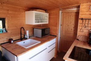 a kitchen in a log cabin with a sink and a microwave at Glamping im Tiny House - nahe Dresden in Freital