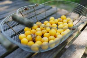 a basket of yellow fruit on a wooden table at Les Jardins de Colmar in Herrlisheim-près-Colmar