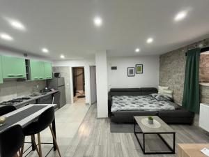 a living room with a bed and a kitchen at Apartman Lari in Vižinada
