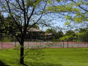 a tree in front of a tennis court at No Worries at Summit Village! in Bellaire