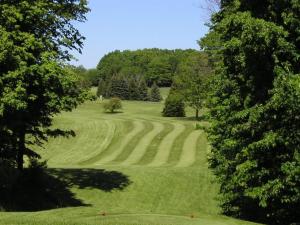 a green golf course with trees in the distance at No Worries at Summit Village! in Bellaire +25 photos