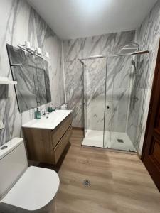 a bathroom with a shower and a toilet and a sink at O Repouso in Lalín +20 photos