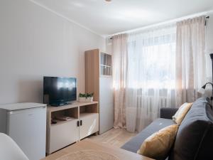 a living room with a couch and a tv at Apartament Antoninek in Poznań