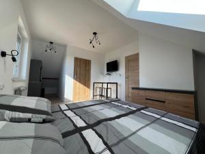a large bedroom with two beds and a television at Noclegi u Adama in Probark