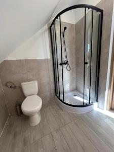 a bathroom with a shower with a toilet and a shower at Noclegi u Adama in Probark +25 photos