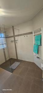 a bathroom with a shower with a glass door at Ferienhaus-Windflüchter Hirtenweg 3B in Zingst +32 photos