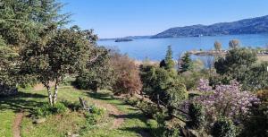 a view of a lake with trees and flowers at B&B La Lanterna in Verbania