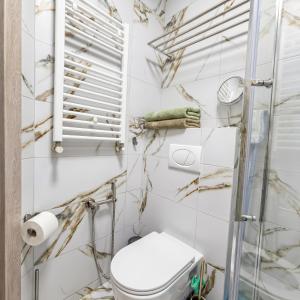 a bathroom with a toilet and a shower at Dimo Cozy Apartments Chisinau Moldova Centre Airport in Chişinău +8 photos