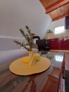 a vase with a plant on a table in a room at Unska Bajka Bihać in Bihać +25 photos
