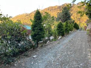 a road lined with christmas trees on a mountain at Bajoon homestay in Bhīm Tāl
