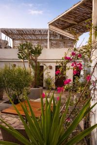 a garden with pink flowers and a building at Dahab Hostel in Cairo