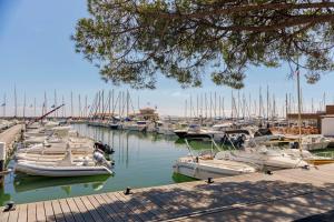 a bunch of boats are docked in a marina at T2 Haut de gamme avec jardin privé - 50m du port Miramar in La Londe-les-Maures