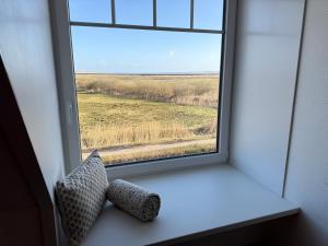 a window with a view of a field at Sütjers Hüs in Norddorf