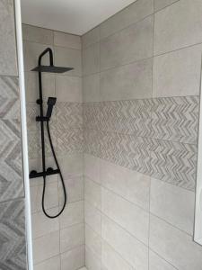a bathroom with a shower with a shower head at La Campagnarde in Pargny +12 photos