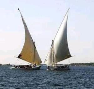 twoasted sailboats in the water on the water at Royal Felucca - Shared Amazing Sailing in Aswan