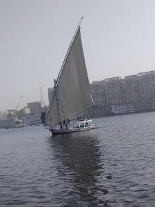 a small sail boat with people on it on the water at Royal Felucca - Shared Amazing Sailing in Aswan +13 photos