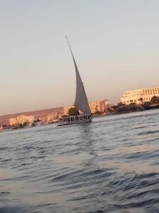 a sailboat on the water with buildings in the background at Royal Felucca - Shared Amazing Sailing in Aswan
