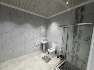 a bathroom with a shower and a toilet and a sink at Mehraz Guesthouse in Piet Retief