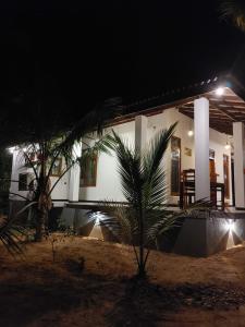 a house at night with a palm tree in front at Nature Velora Villa in Tangalle