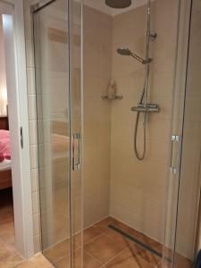 a shower with a glass shower stall in a bathroom at Dům u Giordanu in Slavonice +59 photos