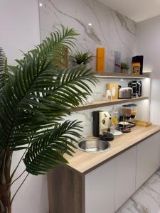 a palm tree in a kitchen with a sink at Savior Deluxe Rooms in Naples