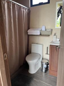 ein Badezimmer mit Toilette und Waschbecken mit Duschvorhang in der Unterkunft Cabañas romanticas in Pachuca de Soto