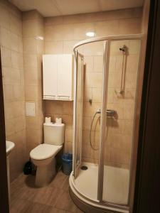 a small bathroom with a toilet and a shower at Pilnų namų bendruomenė in Panara